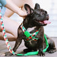 Shaped Chest Strap Can Protect The Tracheal Vest Type Pet Rope