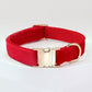 Dog Collar With Engraved Lettering, Anti Loss Collar, Large Dog Leash