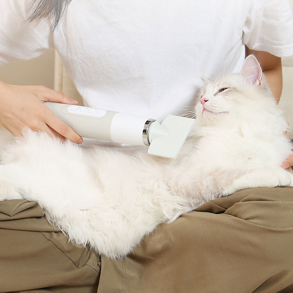 Pet Cat Hair Dryer Low Noise Large Dog High Power