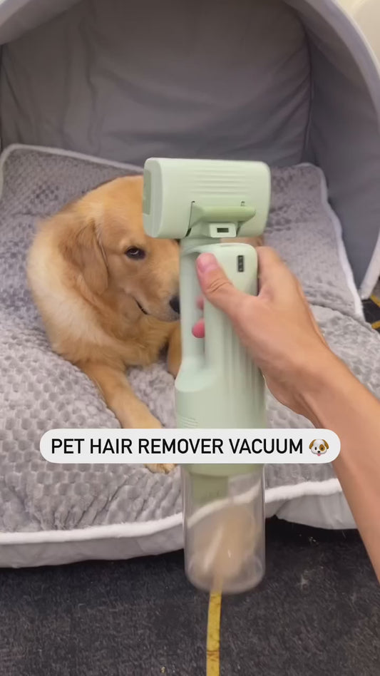 Pet Cat Hair Dryer Low Noise Large Dog High Power